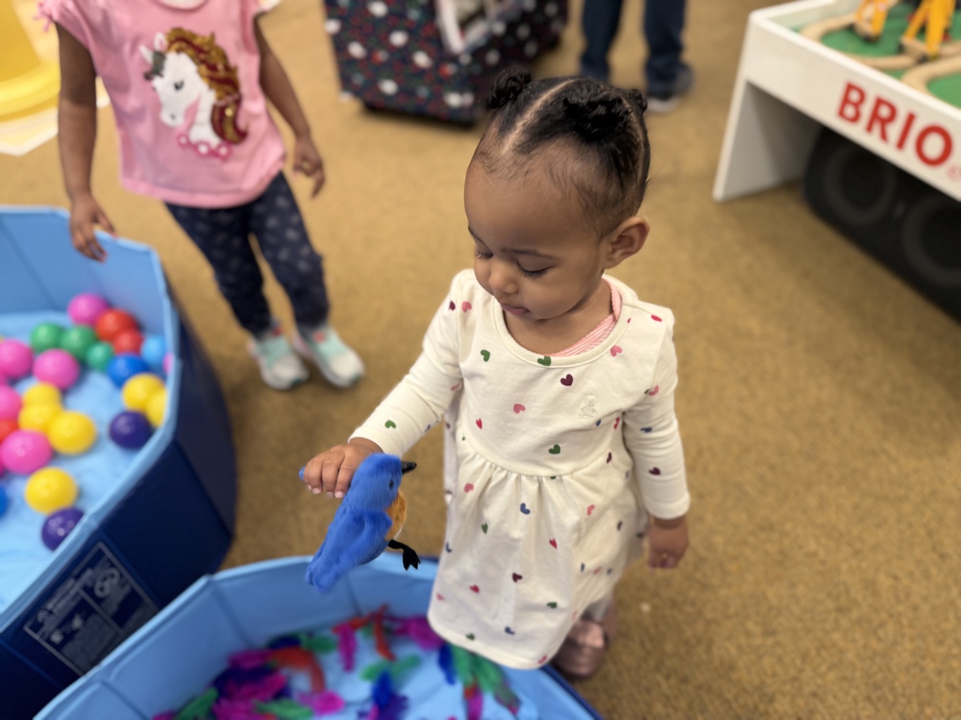 Spring exhibit hands-on activity